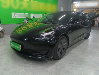 Tesla Model 3 2021 immagine di auto 