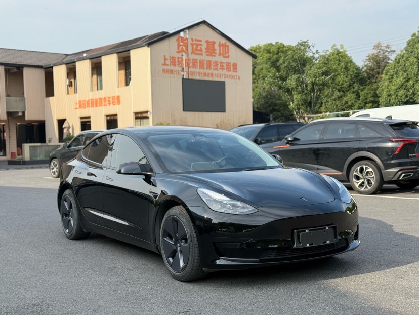 Tesla Model 3 2022 #3 Tesla Model 3 2022 car image #3