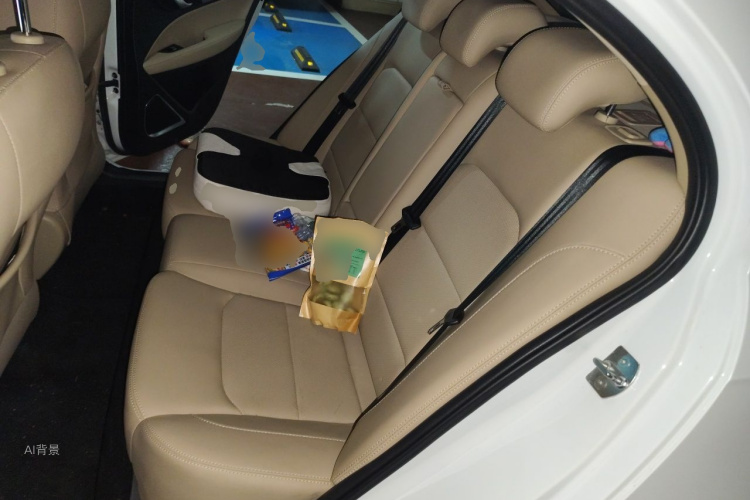 GEELY Emgrand 2018 car image #19