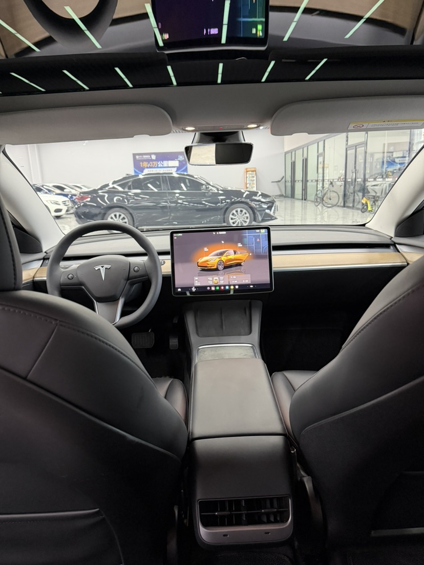 Tesla Model 3 2023 car image #6