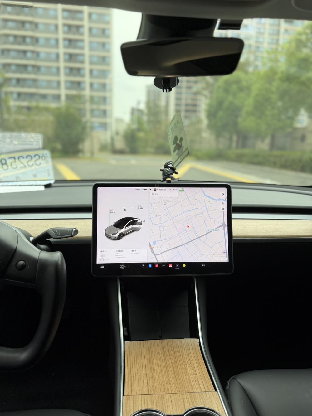 Tesla Model 3 2020 #13 Tesla Model 3 2020 car image #13