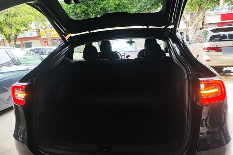 Tesla Model Y 2021 car image #18