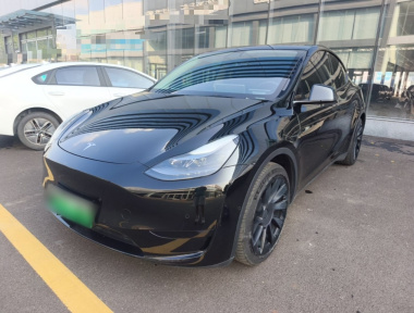Tesla Model Y 2022 Tesla Model Y 2022 car image
