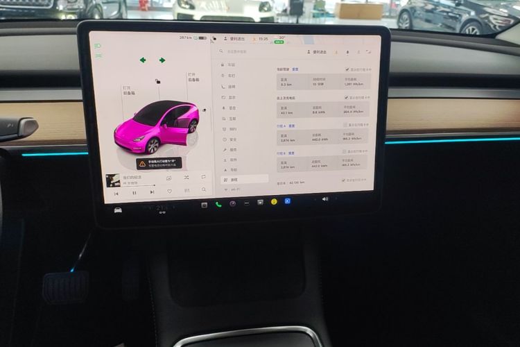 Tesla Model Y 2022 car image #17