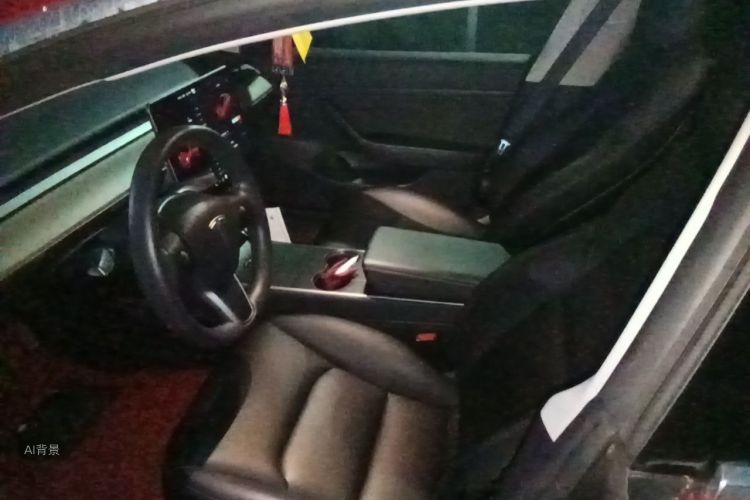 Tesla Model 3 2020 image de voiture #17