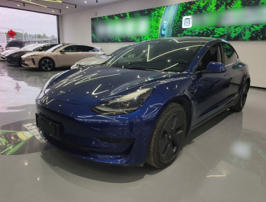 Tesla Model 3 2021 Tesla Model 3 2021 car image