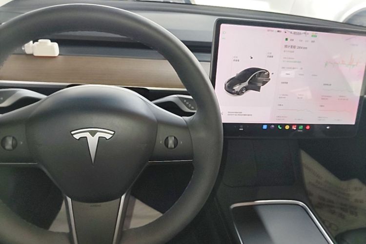 Tesla Model 3 2021 #14 Tesla Model 3 2021 car image #14