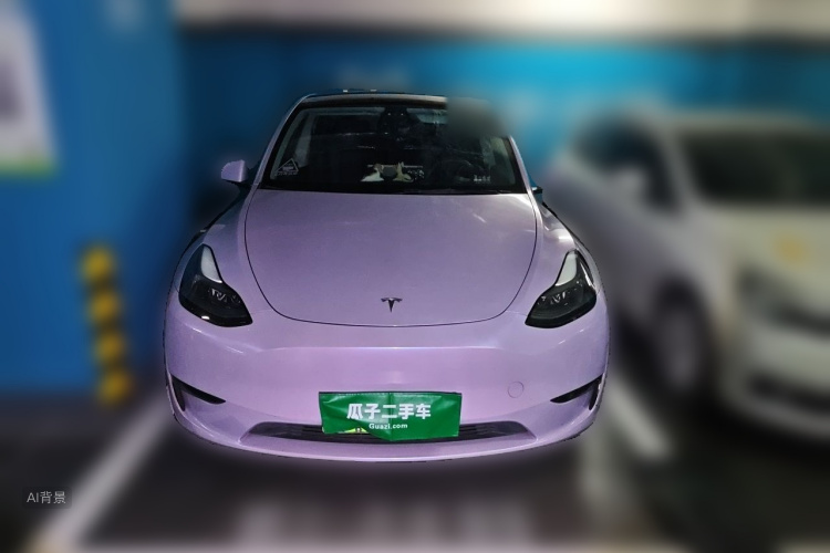 Tesla Model Y 2021 #3 Tesla Model Y 2021 car image #3
