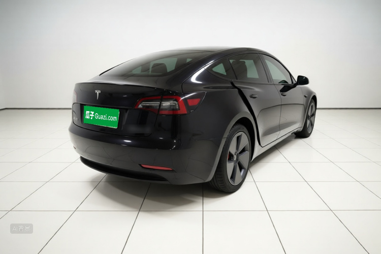 Tesla Model 3 2021 car image #7