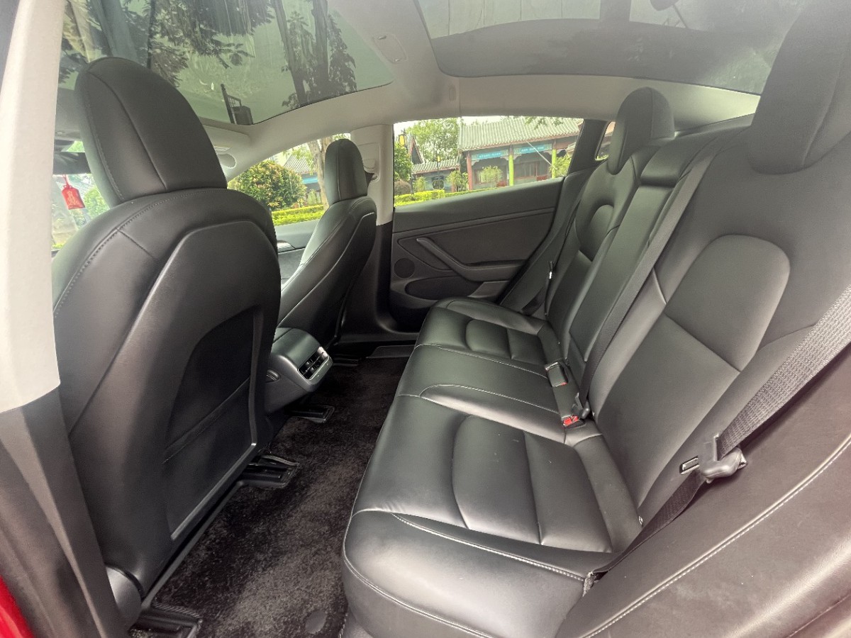Tesla Model 3 2021 car image #5