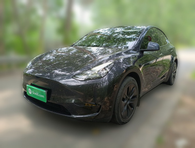 Tesla Model Y 2024 Tesla Model Y 2024 car image