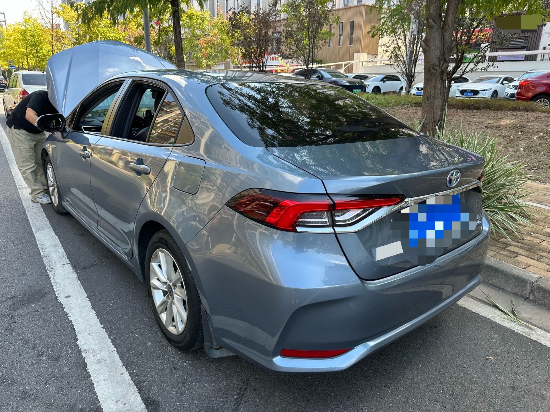 Toyota Corolla 2024 car image #6