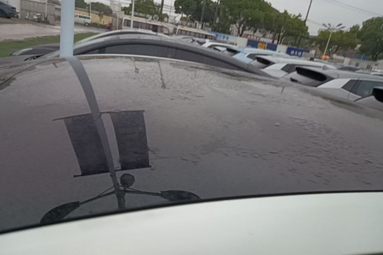 Tesla Model Y 2023 car image #25