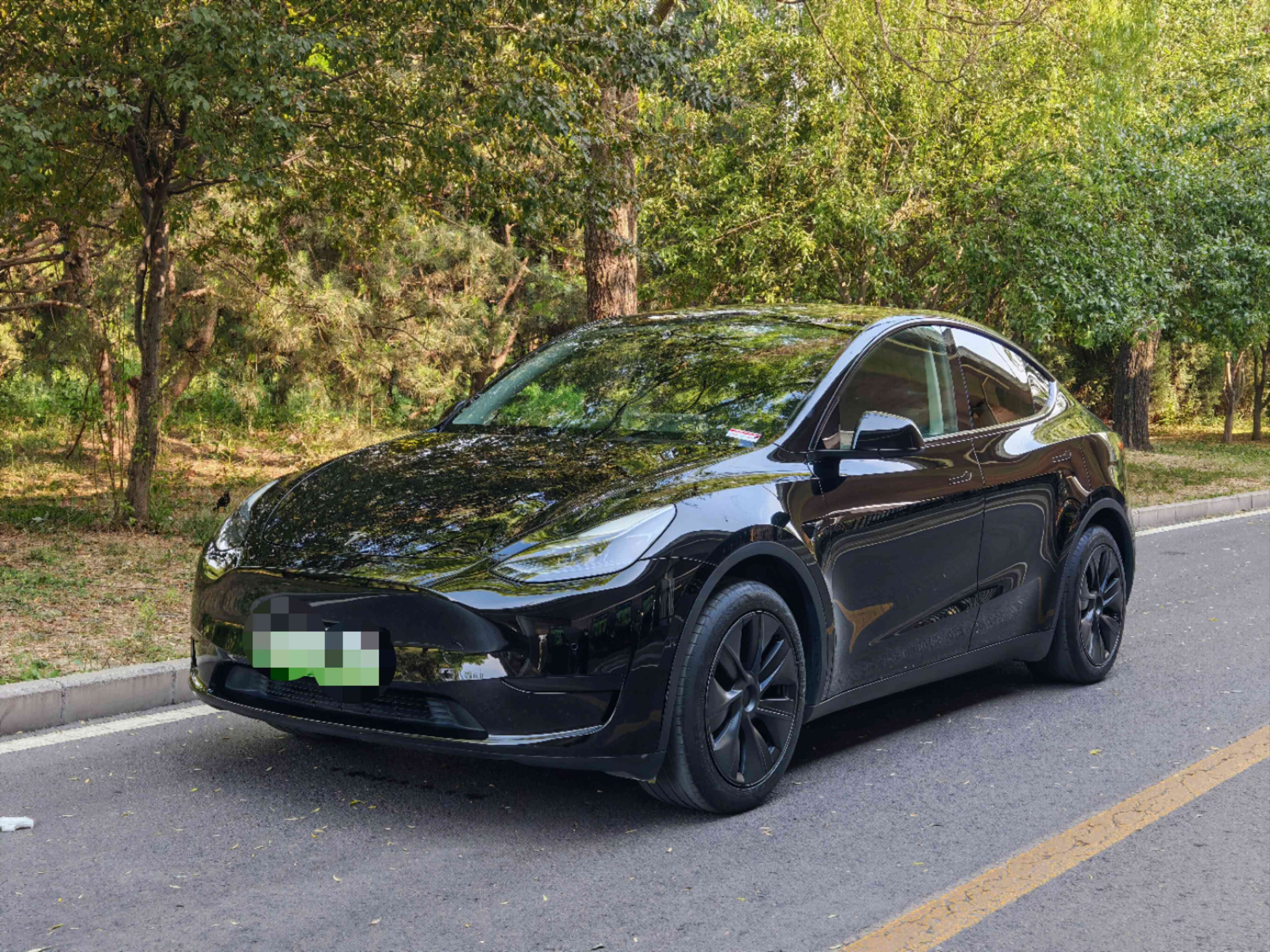 Tesla Model Y 2023 Tesla Model Y 2023 car image