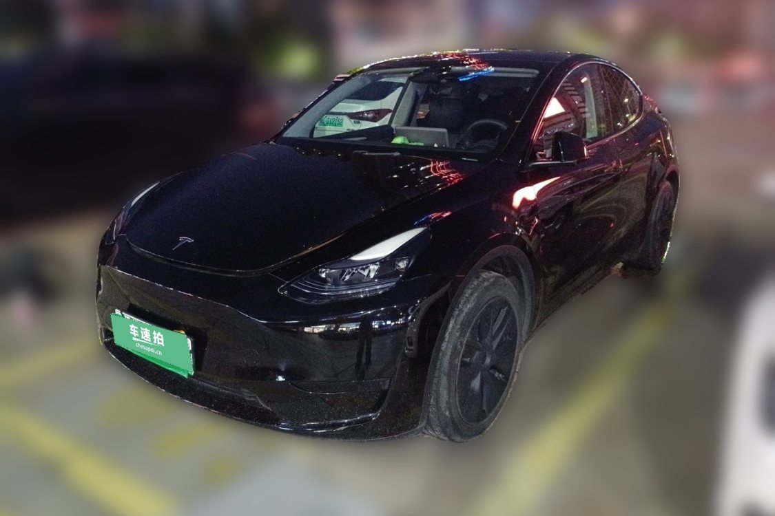 Tesla Model Y 2024 Tesla Model Y 2024 car image