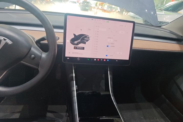 Tesla Model 3 2020 #13 Tesla Model 3 2020 car image #13