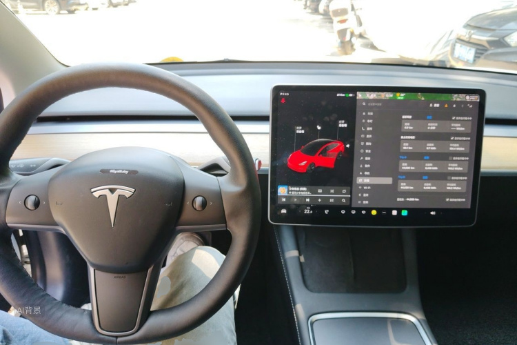 Tesla Model 3 2021 #11 Tesla Model 3 2021 car image #11