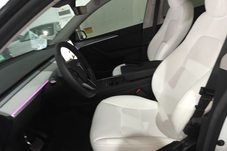 Tesla Model Y 2023 car image #15