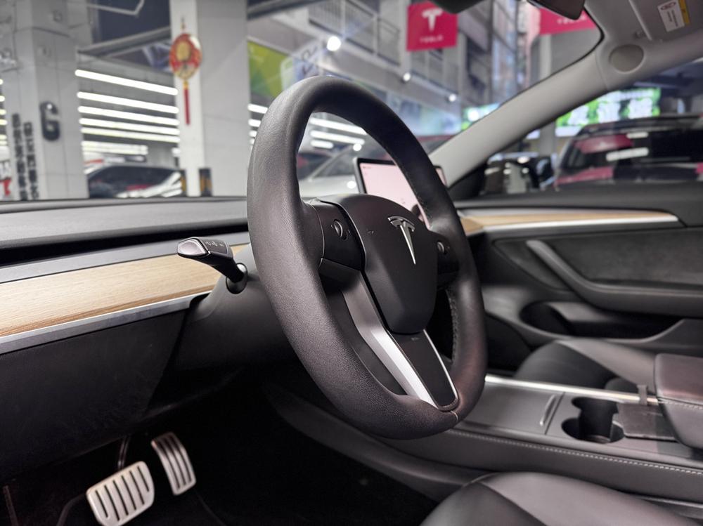 Tesla Model 3 2023 car image #10