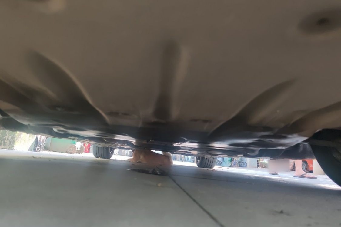 宝马 宝马3系 2014 汽车图片 #14