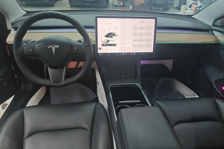 Tesla Model 3 2021 #10 Tesla Model 3 2021 car image #10