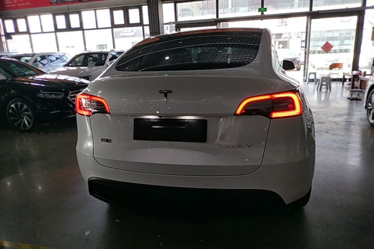 Tesla Model Y 2023 #6 Tesla Model Y 2023 car image #6