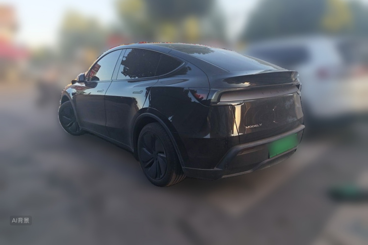 Tesla Model Y 2025 car image #5