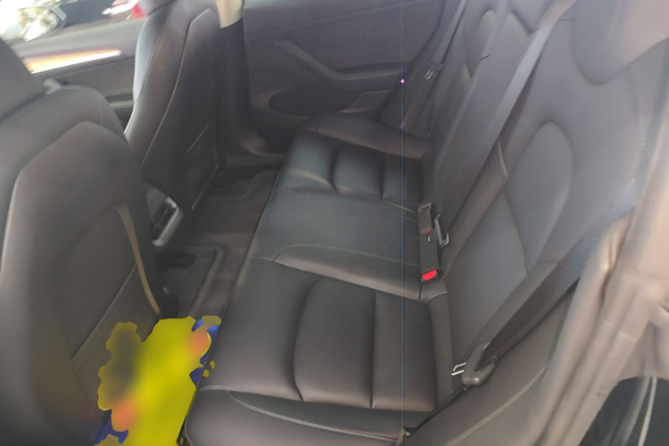 Tesla Model 3 2021 #17 Tesla Model 3 2021 car image #17