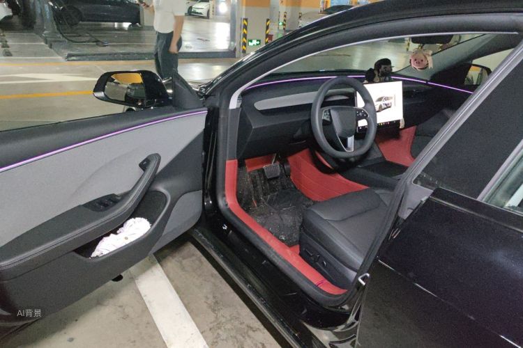 Tesla Model 3 2025 car image #18