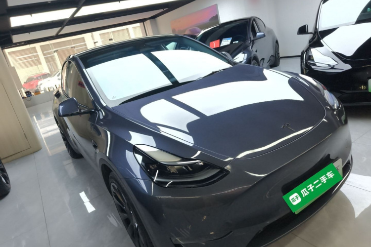 Tesla Model Y 2021 car image #6