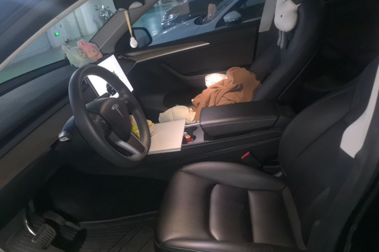 Tesla Model Y 2022 car image #15
