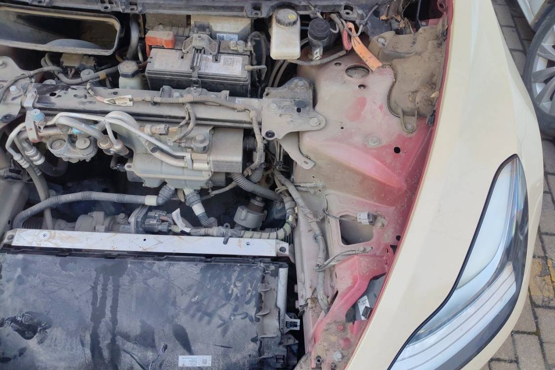 Tesla Model 3 2020 car image #12