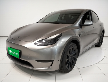 Tesla Model Y 2022 Tesla Model Y 2022 car image