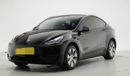 Tesla Model Y 2023 Tesla Model Y 2023 car image