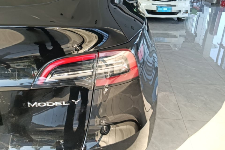Tesla Model Y 2023 #8 Tesla Model Y 2023 car image #8
