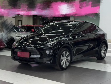 Tesla Model Y 2023 Tesla Model Y 2023 car image