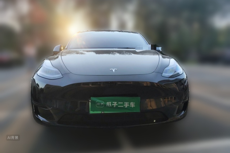 Tesla Model Y 2023 car image #3
