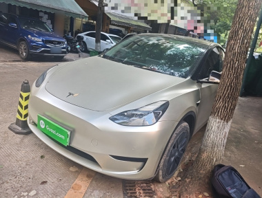 Tesla Model Y 2023 car image 