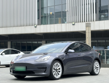 Tesla Model 3 2021 car image 