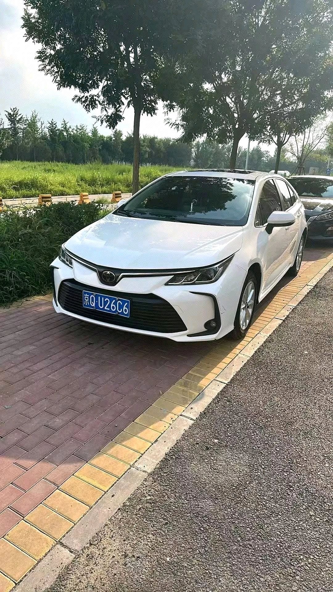 Toyota Corolla 2022 car image 