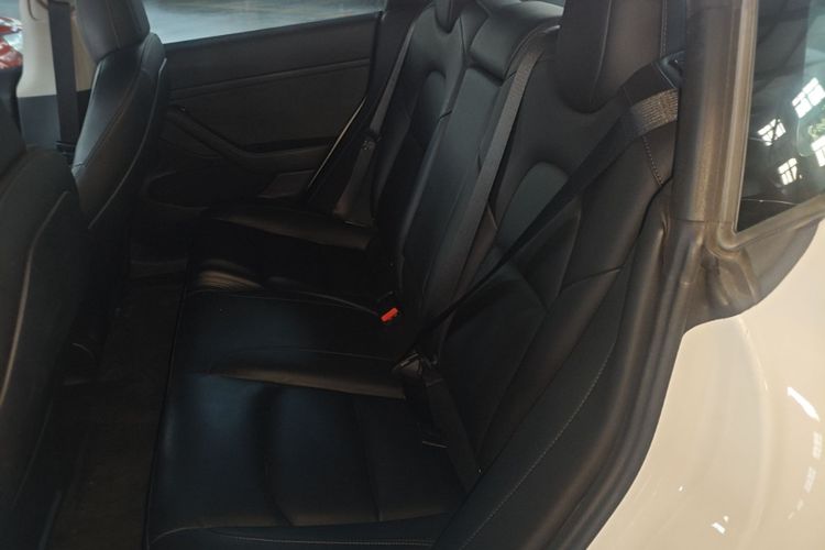 Tesla Model 3 2021 #13 Tesla Model 3 2021 car image #13