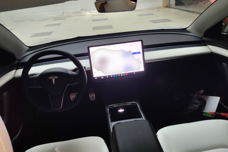 Tesla Model 3 2021 car image #11
