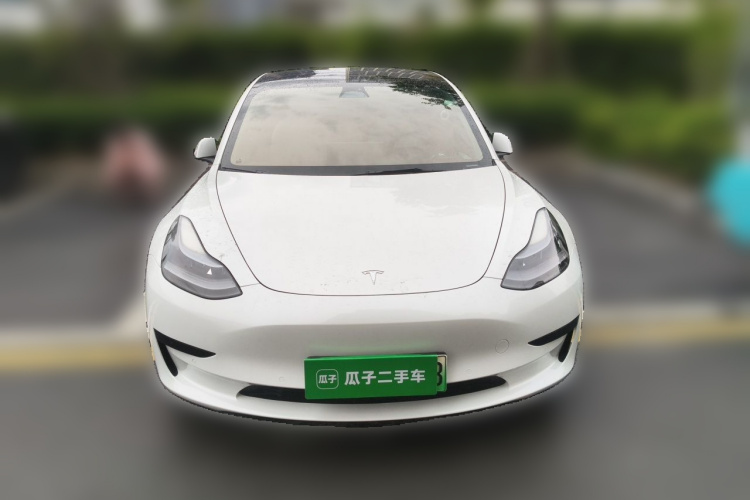 Tesla Model 3 2023 #3 Tesla Model 3 2023 car image #3