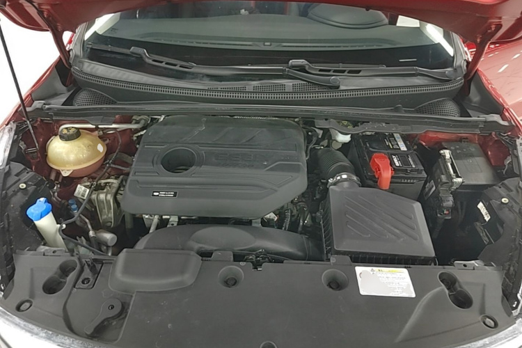 GEELY Emgrand GS 2020 car image #20
