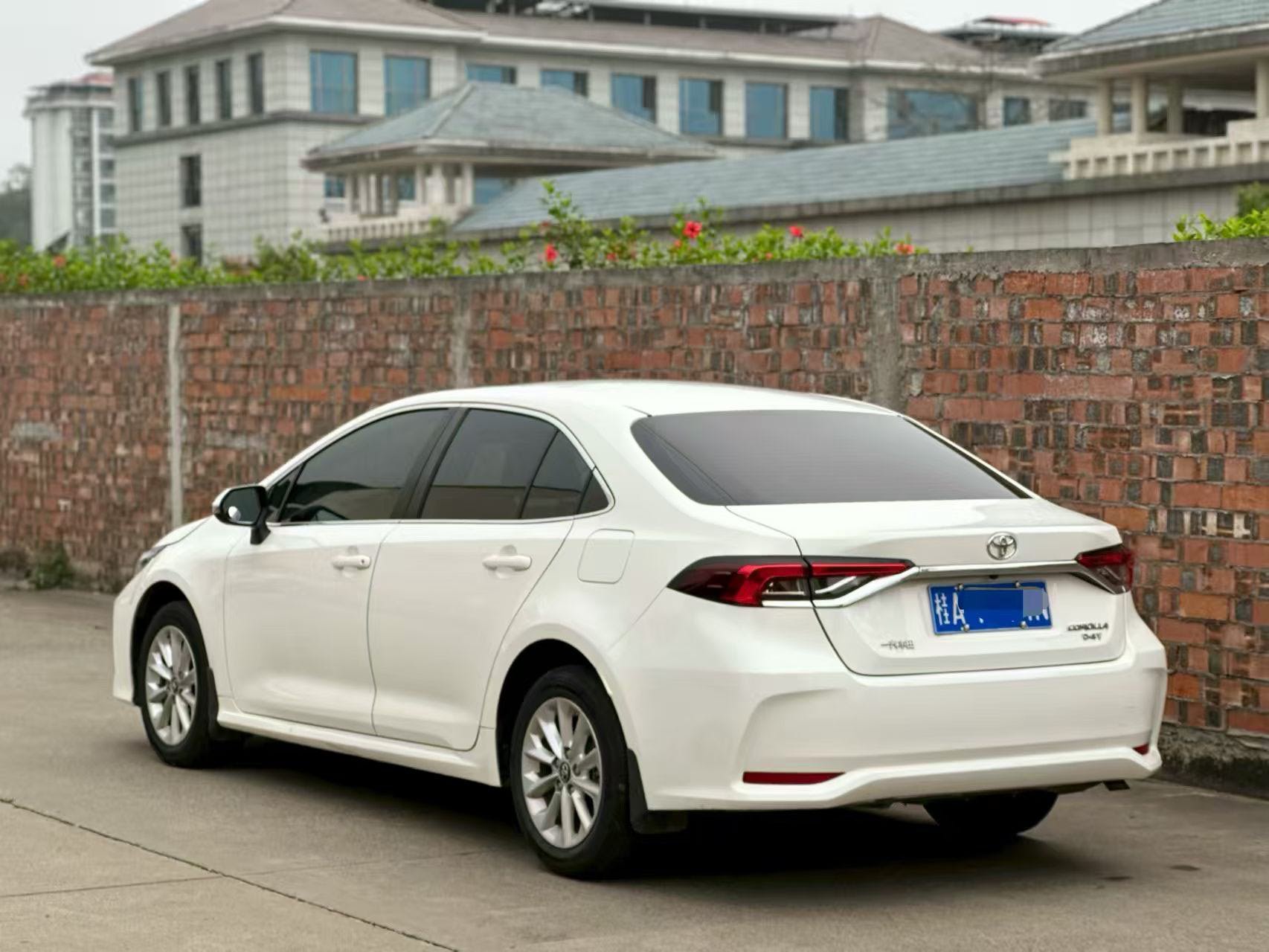 Toyota Corolla 2022 #8 Toyota Corolla 2022 car image #8