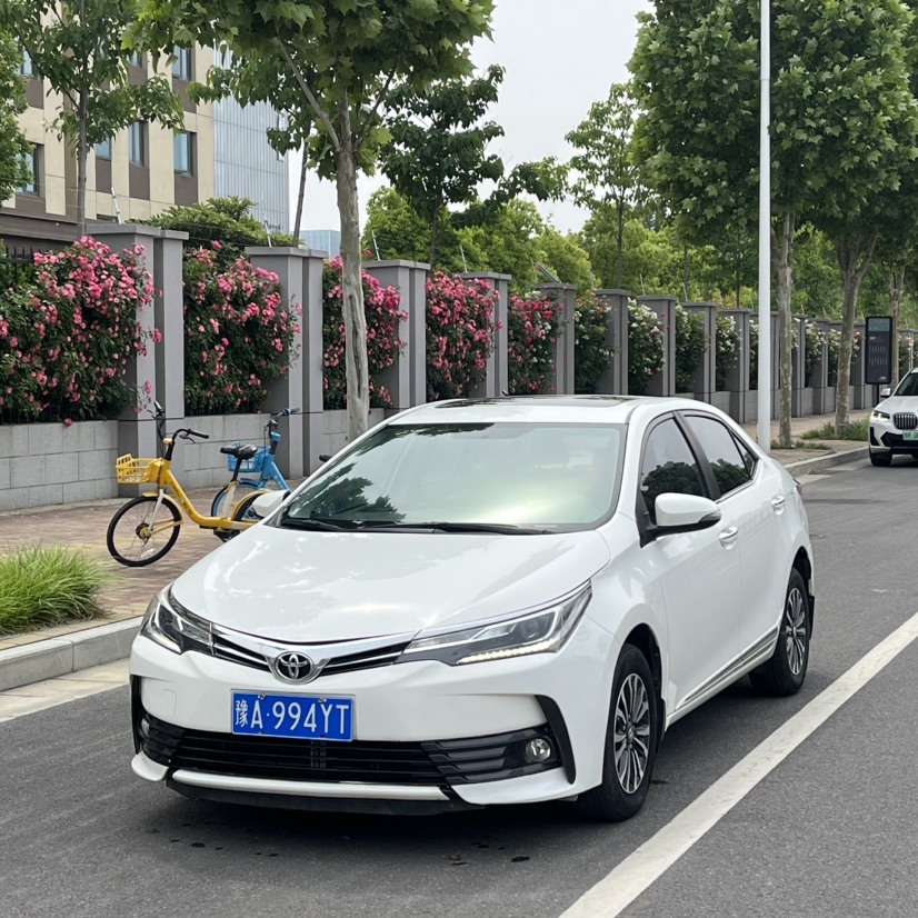 Toyota Corolla 2019 Toyota Corolla 2019 car image