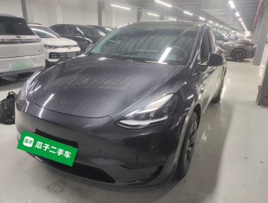 Tesla Model Y 2024 Tesla Model Y 2024 car image