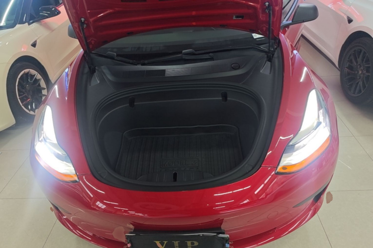 Tesla Model 3 2020 #22 Tesla Model 3 2020 car image #22
