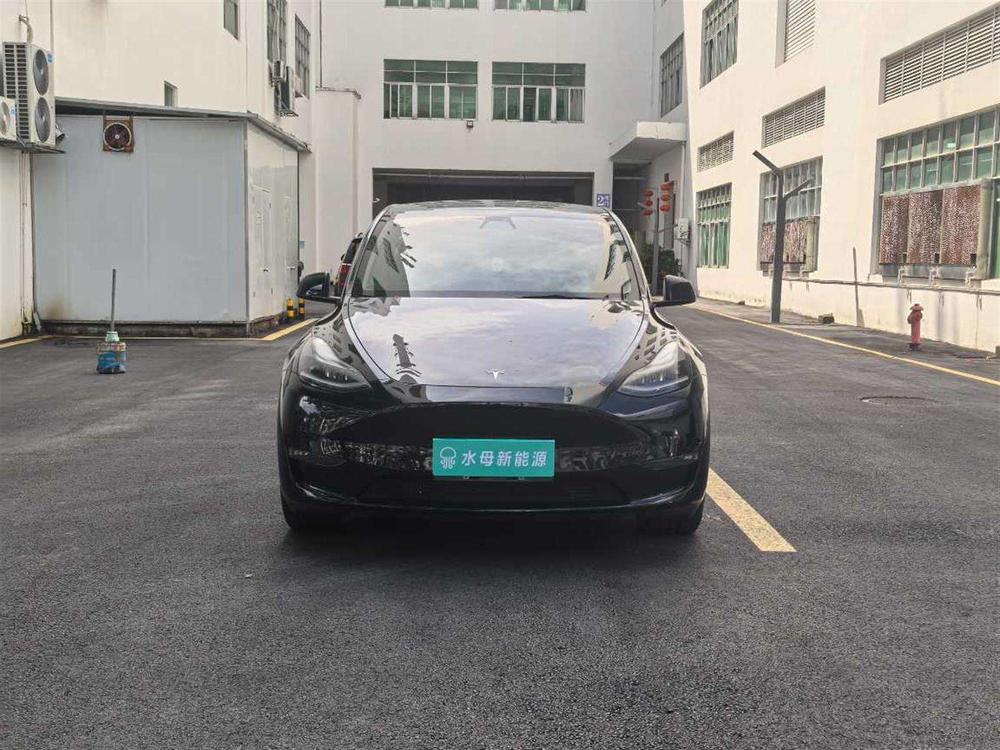 Tesla Model Y 2021 #2 Tesla Model Y 2021 car image #2