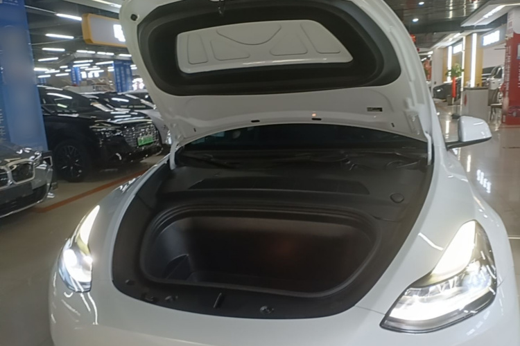 Tesla Model Y 2021 #20 Tesla Model Y 2021 car image #20